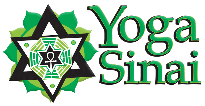 Logo-Design-Yoga-Sinai-Coconut-Creek-FL