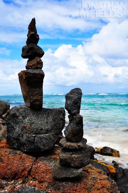 culebra-flamenco-rocks