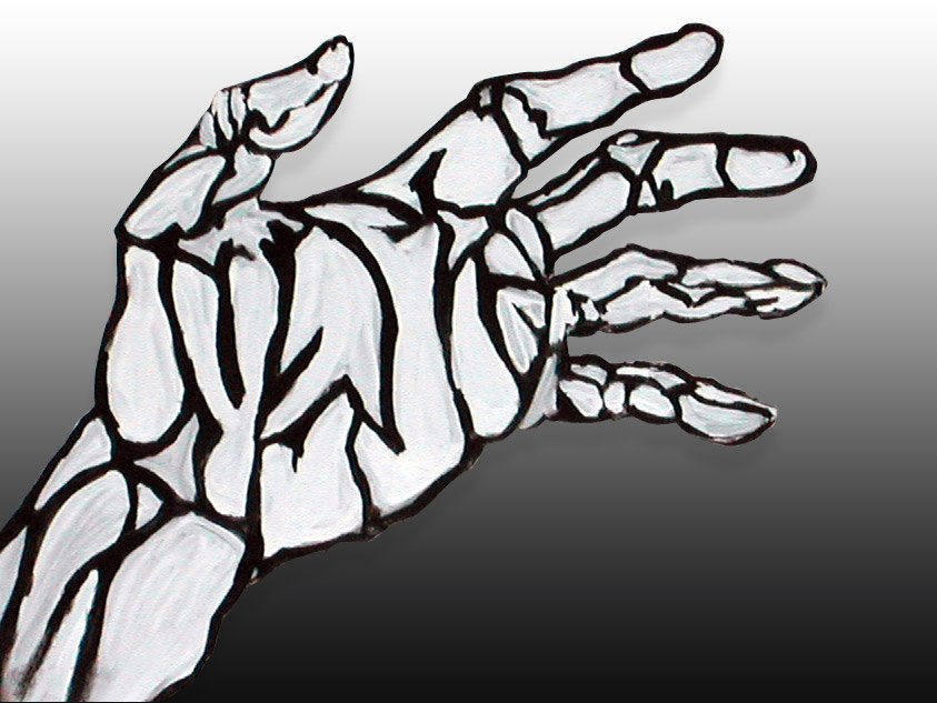 Hand Illustration